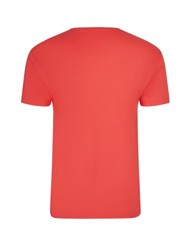 Camiseta algodón personalizada